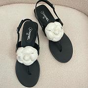 Colestore Chanel Camellia Sandals Glossy calfskin Black &  White - 5