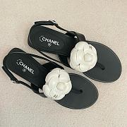 Colestore Chanel Camellia Sandals Glossy calfskin Black &  White - 3