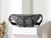 Colestore Dior 8 Belt Bag Beige and Black Dior Oblique Jacquard with Black Grained Calfskin 39 x 17 x 10.5 cm - 1