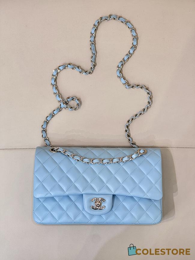 Colestore Chanel Medium Classic Double Flap Bag in Tiffany blue Calfskin Silver Hardware 25.5x15.5x6.5cm - 1