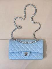 Colestore Chanel Medium Classic Double Flap Bag in Tiffany blue Calfskin Silver Hardware 25.5x15.5x6.5cm - 1