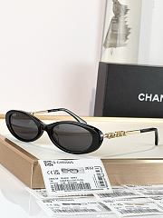 Colestore Chanel Oval Sunglasses Acetate & Meta - 1