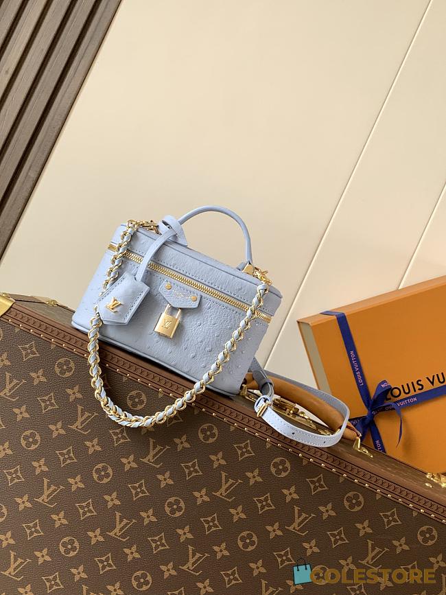 Colestore Louis Vuitton Vanity Chain Pouch in Ostrich Leather Blue  19 x 11.5 x 6.5 cm - 1