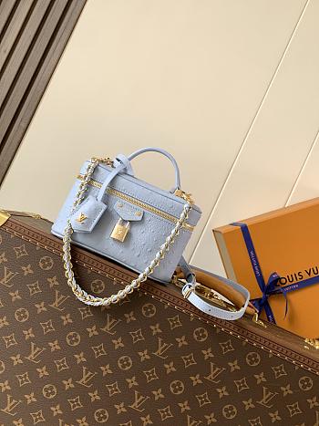 Colestore Louis Vuitton Vanity Chain Pouch in Ostrich Leather Blue  19 x 11.5 x 6.5 cm