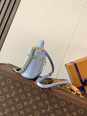 Colestore Louis Vuitton Vanity Chain Pouch in Ostrich Leather Blue  19 x 11.5 x 6.5 cm - 2
