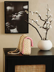 Colestore Chanel Raffia Chain Venice Beach Flap Bag Beige Pink Light Gold Metal 23cm - 2