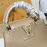 Colestore Louis Vuitton LV Mirage Capucines Mini Light Gold Taurillon leather 21 x 13.6 x 8 cm - 6