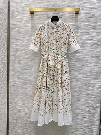 Colestore  Dior Mid-Length Belted Shirtdress Multicolor Daisy Garden Cotton Poplin