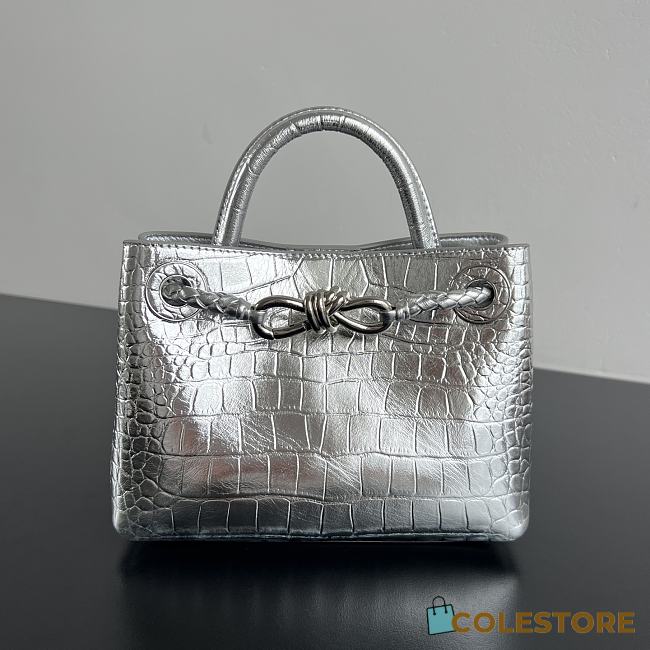 Colestore Bottega Veneta Mini Andiamo Silver Croc-embossed Leather 20x15x9cm - 1