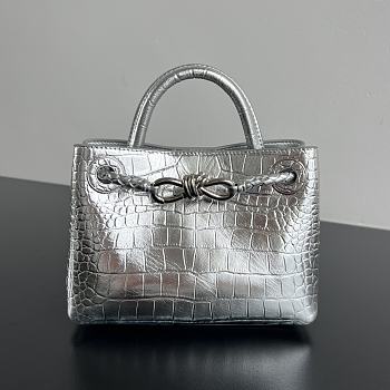 Colestore Bottega Veneta Mini Andiamo Silver Croc-embossed Leather 20x15x9cm