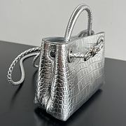 Colestore Bottega Veneta Mini Andiamo Silver Croc-embossed Leather 20x15x9cm - 6