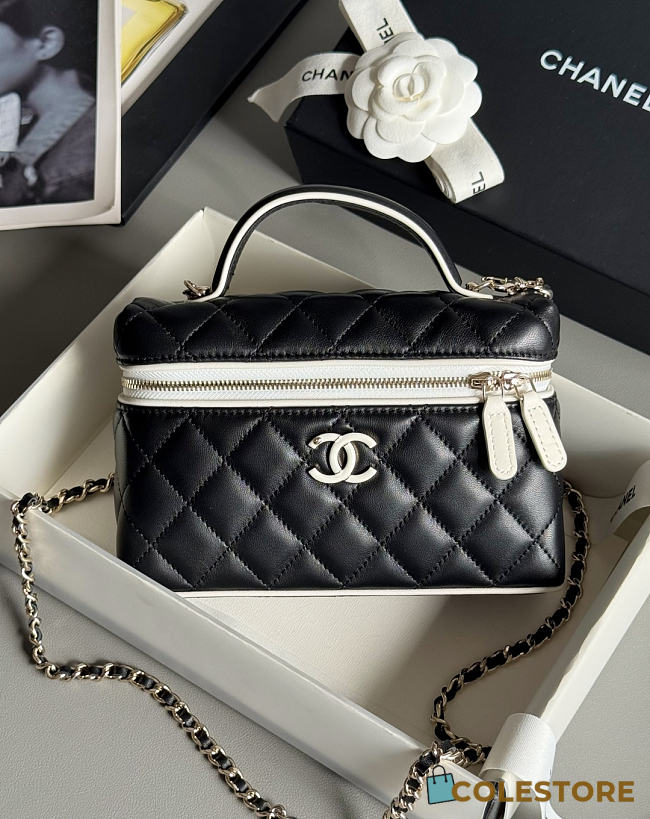 Colestore Chanel Vanity Bag with Top Handle and Chain Strap Black Quilted Leather with Silver-Tone Hardware 17x19.5x5.5cm - 1