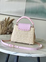 Colestore Louis Vuitton Capucines BB Washed Pink Rattan and Denim 27 x 17.3 x 9 cm - 2