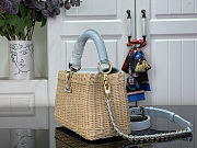 Colestore Louis Vuitton Capucines Mini Sky Denim Rattan and Denim 21 x 13.6 x 8 cm - 4
