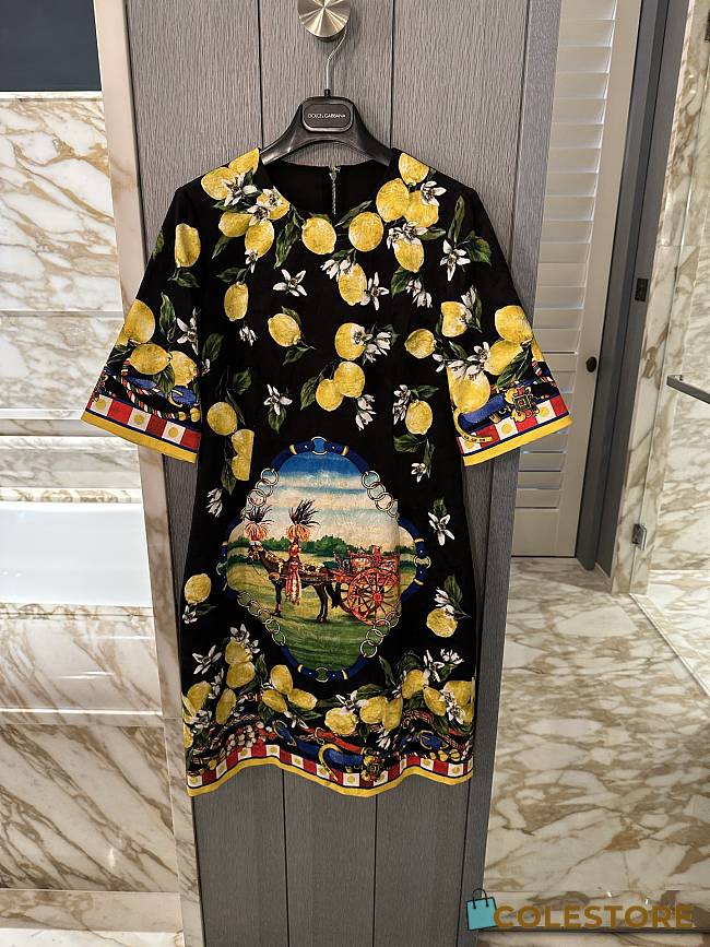 Colestore Dolce & Gabbana Printed jacquard brocade dress Multicolor - 1