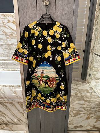 Colestore Dolce & Gabbana Printed jacquard brocade dress Multicolor