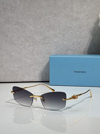Colestore Tiffany & Co. Sunglasses Rimless