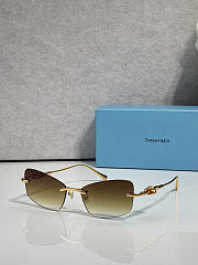 Colestore Tiffany & Co. Sunglasses Rimless - 6