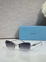 Colestore Tiffany & Co. Sunglasses Rimless - 5
