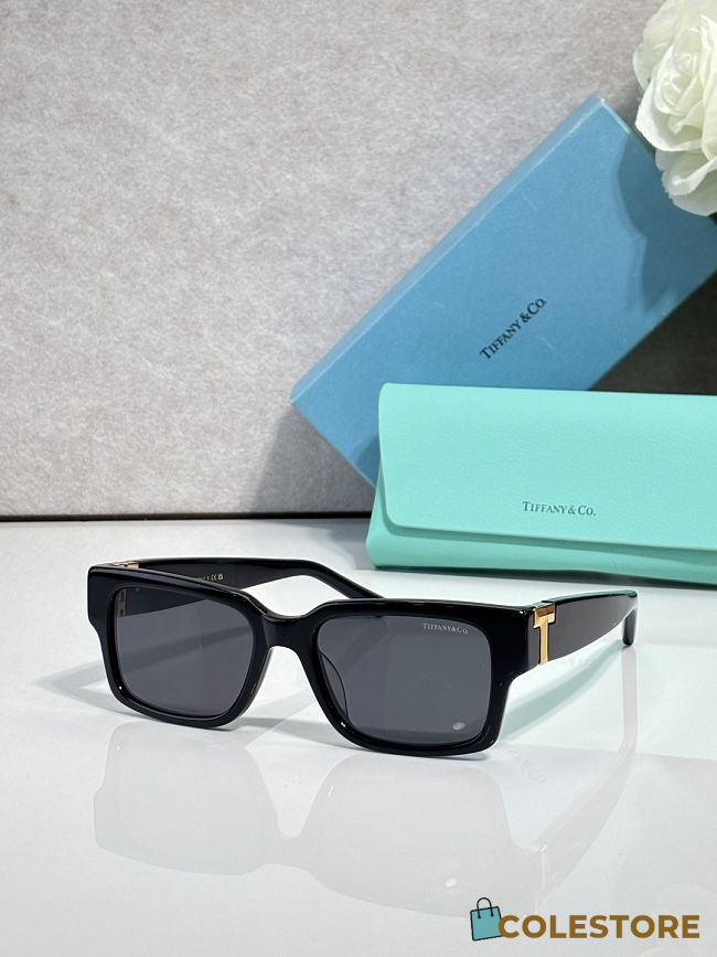 Colestore Tiffany & Co. Sunglasses in Black Acetate with Dark Grey lenses - 1