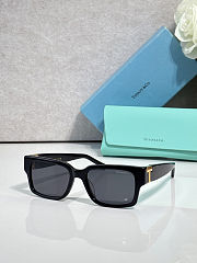 Colestore Tiffany & Co. Sunglasses in Black Acetate with Dark Grey lenses - 1