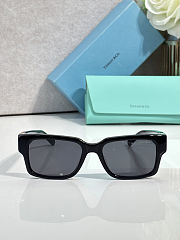 Colestore Tiffany & Co. Sunglasses in Black Acetate with Dark Grey lenses - 2