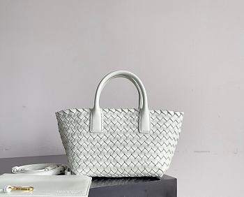 Colestore  Bottega Veneta Mini Cabat Ice Mint 20x15x12cm