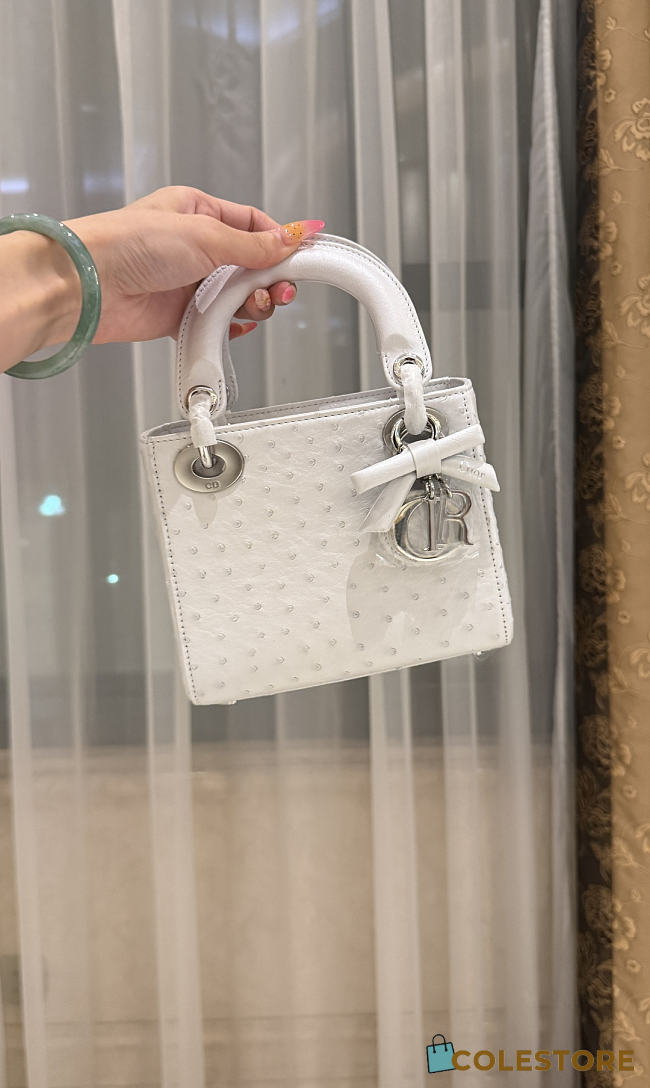 Colestore Dior Mini Lady Dior White Ostrich Leather with Strap 17cm - 1