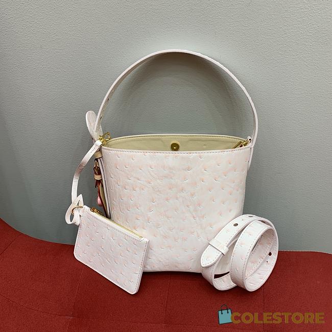 Colestore Louis Vuitton All In BB in Ostrich Leather Powder Pink 18x16x12cm - 1