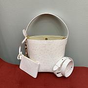 Colestore Louis Vuitton All In BB in Ostrich Leather Powder Pink 18x16x12cm - 1