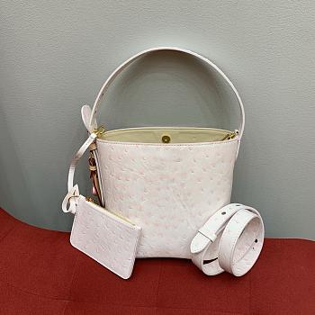 Colestore Louis Vuitton All In BB in Ostrich Leather Powder Pink 18x16x12cm