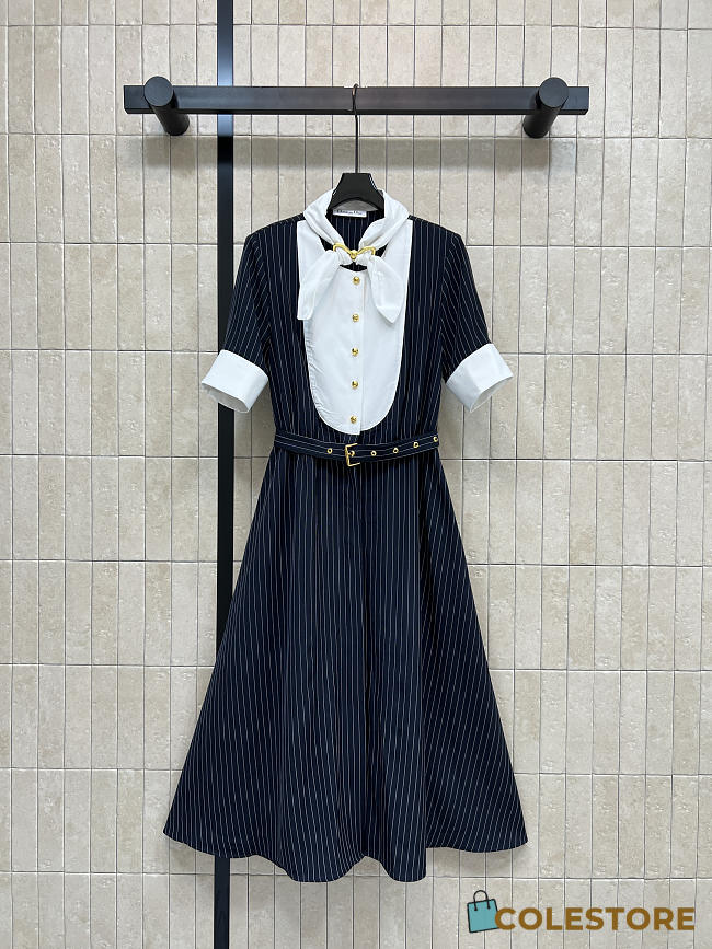 Colestore Dior Mid-Length Plastron Shirtdress Black Cotton Poplin - 1