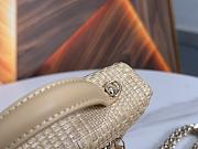 Colestore Chanel Classic Vanity with Chain Braided Raffia & Gold-Tone Metal Beige 17 x 19.5 x 5cm - 6