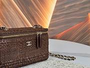 Colestore Chanel Classic Long Vanity with Chain   Braided Raffia & Gold-Tone Metal  Brown 9.5 x 17 x 8cm - 2