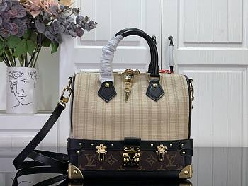 Colestore Louis Vuitton Speedy Bandoulière 22 Out Of The Trunk Beige/Monogram 24 x 22 x 12 cm