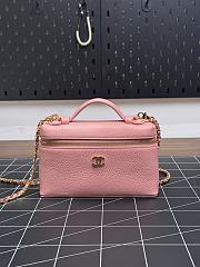 Colestore Chanel Large Vanity with chain Grained Calfskin & Gold-Tone Metal  Pink 15 x 23 x 5cm - 1