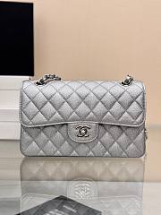 Colestore Chanel Classic Flap Bag Metallic Silver Caviar Leather with Silver Hardware 23cm - 1