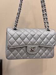 Colestore Chanel Classic Flap Bag Metallic Silver Caviar Leather with Silver Hardware 23cm - 2