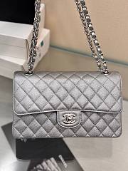 	 Colestore Chanel Classic Flap Bag Metallic Silver Caviar Leather with Silver Hardware 25cm - 4
