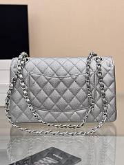 	 Colestore Chanel Classic Flap Bag Metallic Silver Caviar Leather with Silver Hardware 25cm - 2