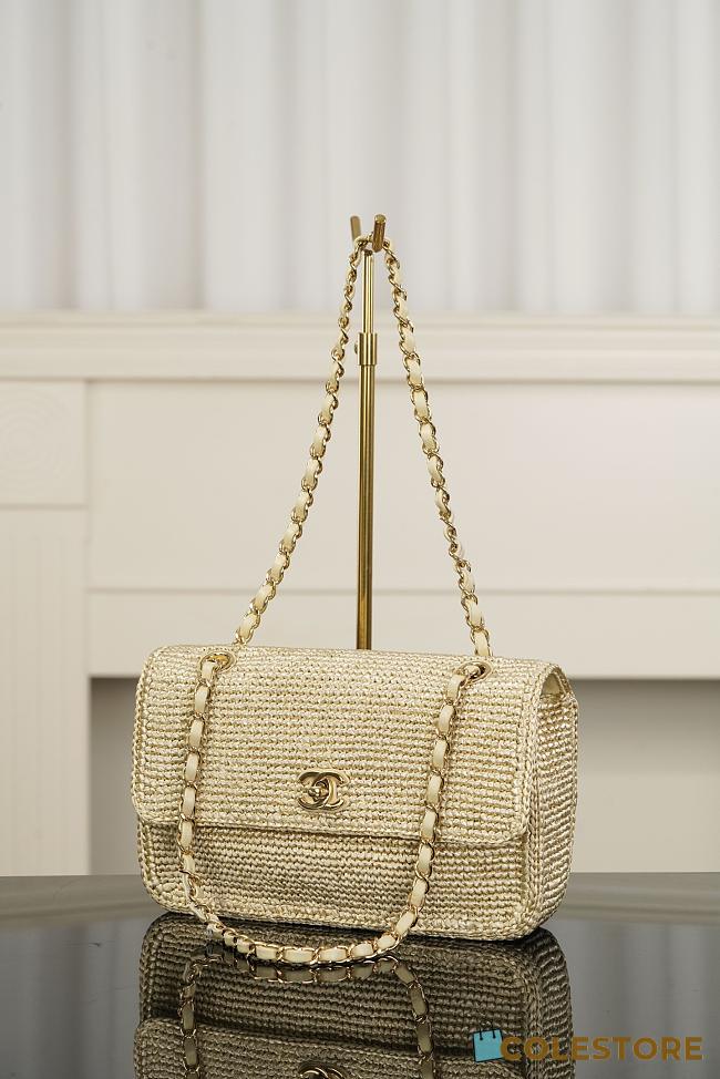 Colestore Chanel Small Coco Beach Small Flap Bag Light Gold Braided Raffia Gold Hardward 25.5x16x7cm - 1