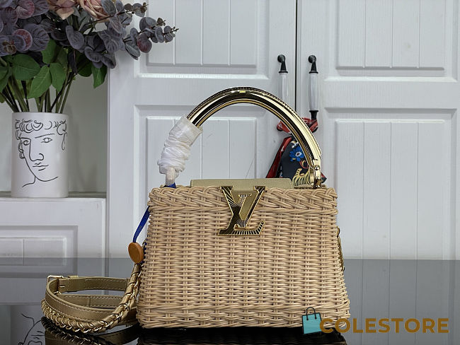 Colestore Louis Vuitton Capucines Mini Gold Rattan and Cowhide leather 21 x 13.6 x 8 cm - 1