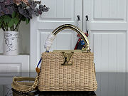 Colestore Louis Vuitton Capucines Mini Gold Rattan and Cowhide leather 21 x 13.6 x 8 cm - 1