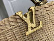 Colestore Louis Vuitton Capucines Mini Gold Rattan and Cowhide leather 21 x 13.6 x 8 cm - 5