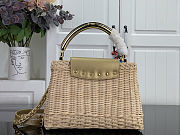 Colestore Louis Vuitton Capucines BB Gold Rattan and cowhide leather 27 x 17.3 x 9 cm - 6