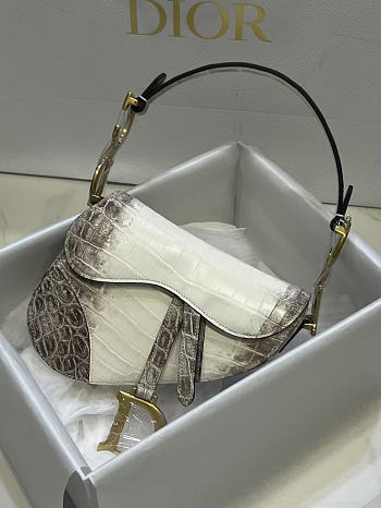 Colestore Christian Dior Niloticus Crocodile Himalaya Saddle Bag Latte 