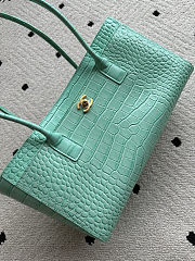 Colestore Chanel Small Shopping Bag   Crocodile Embossed Calfskin & Gold-Tone Metal  Green  20 x 39 x 13cm - 6