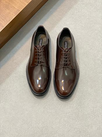 Colestore Dolce & Gabbana Brown Derby