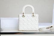 Colestore Dior Dioramour My ABCDior Lady Dior Bag latte Cannage Lambskin with Heart Motif 20 x 15 x 8 cm - 5