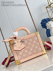 Colestore Louis Vuitton Travels With Grace Coddington Petite Valise Meowgram 22.5 x 17.5 x 11 cm - 1